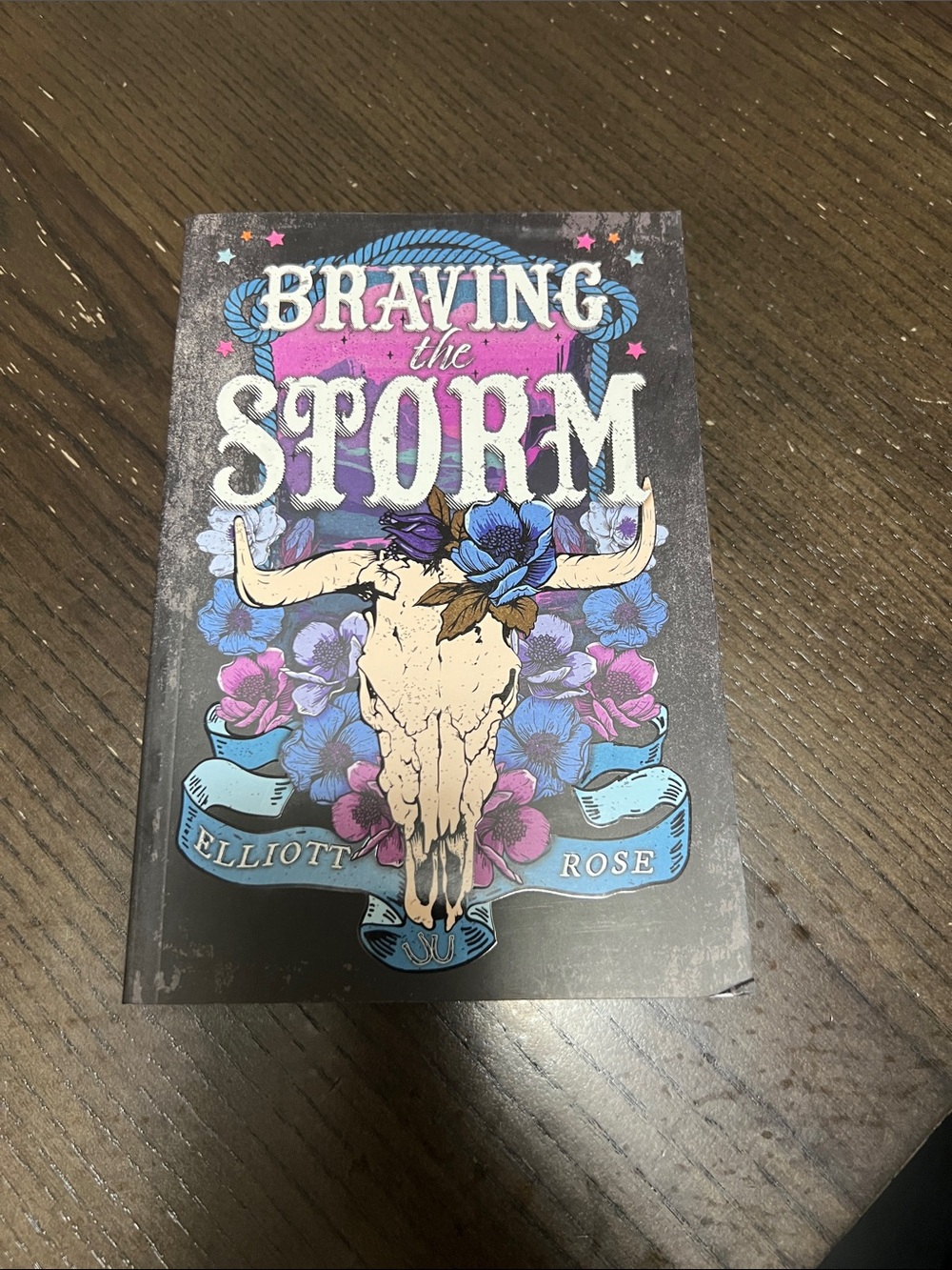 Braving The Storm by Elliott Rose